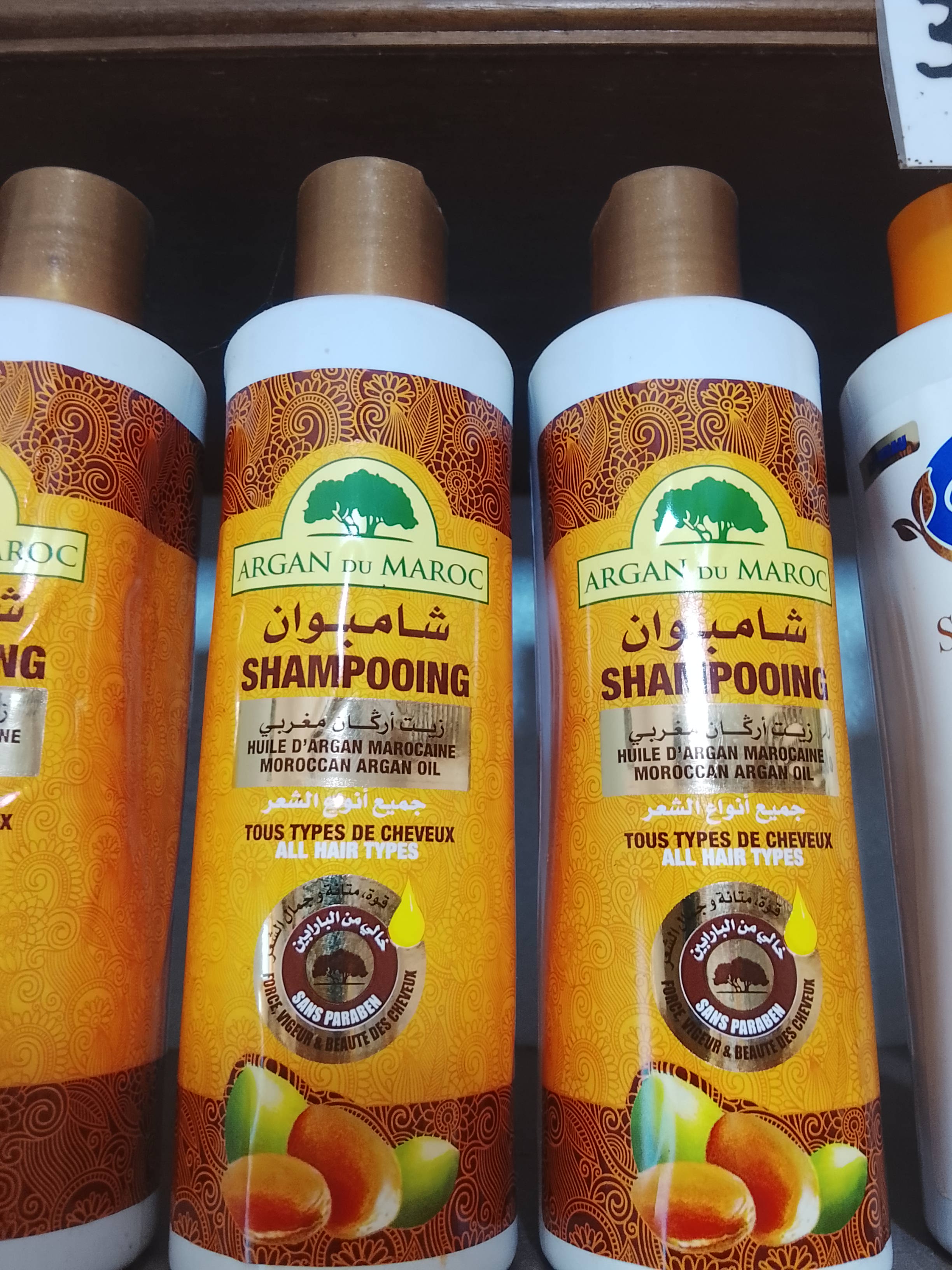 Argan Shampoo